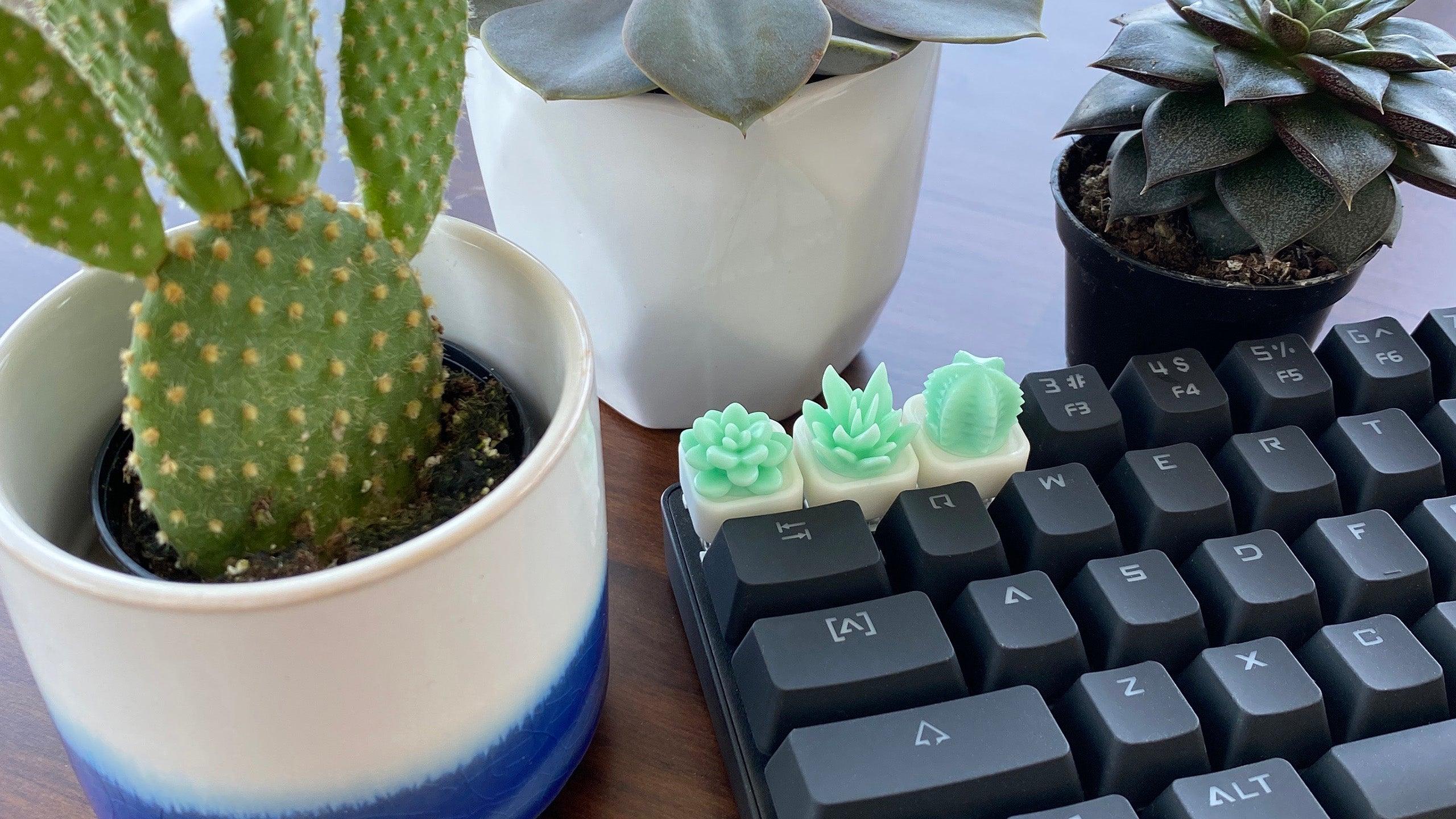 Botanical Keycaps – Capsmiths Inc.