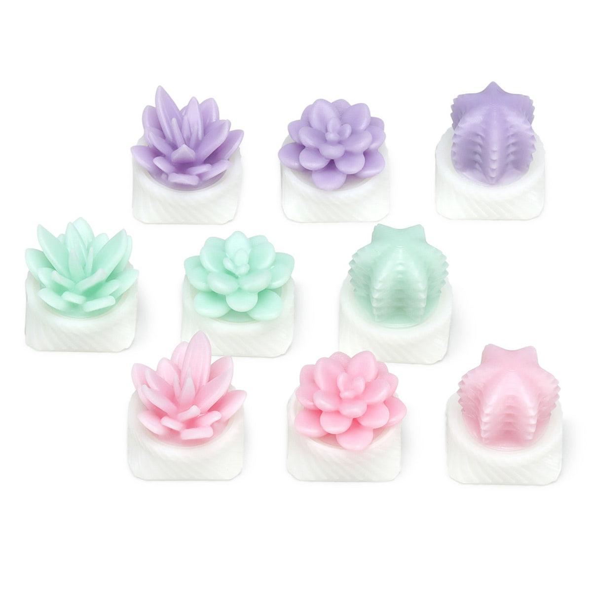 succulent keyboard Succulent Keycap Aloe / Mint