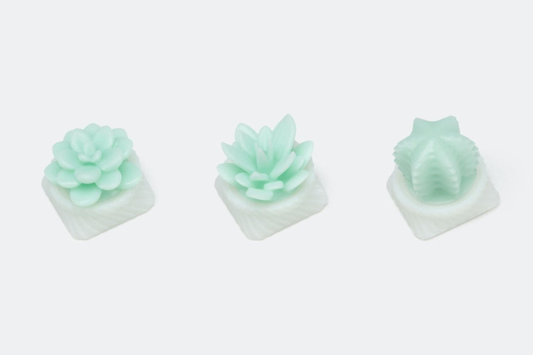 succulent keyboard Succulent Keycap – Capsmiths Inc