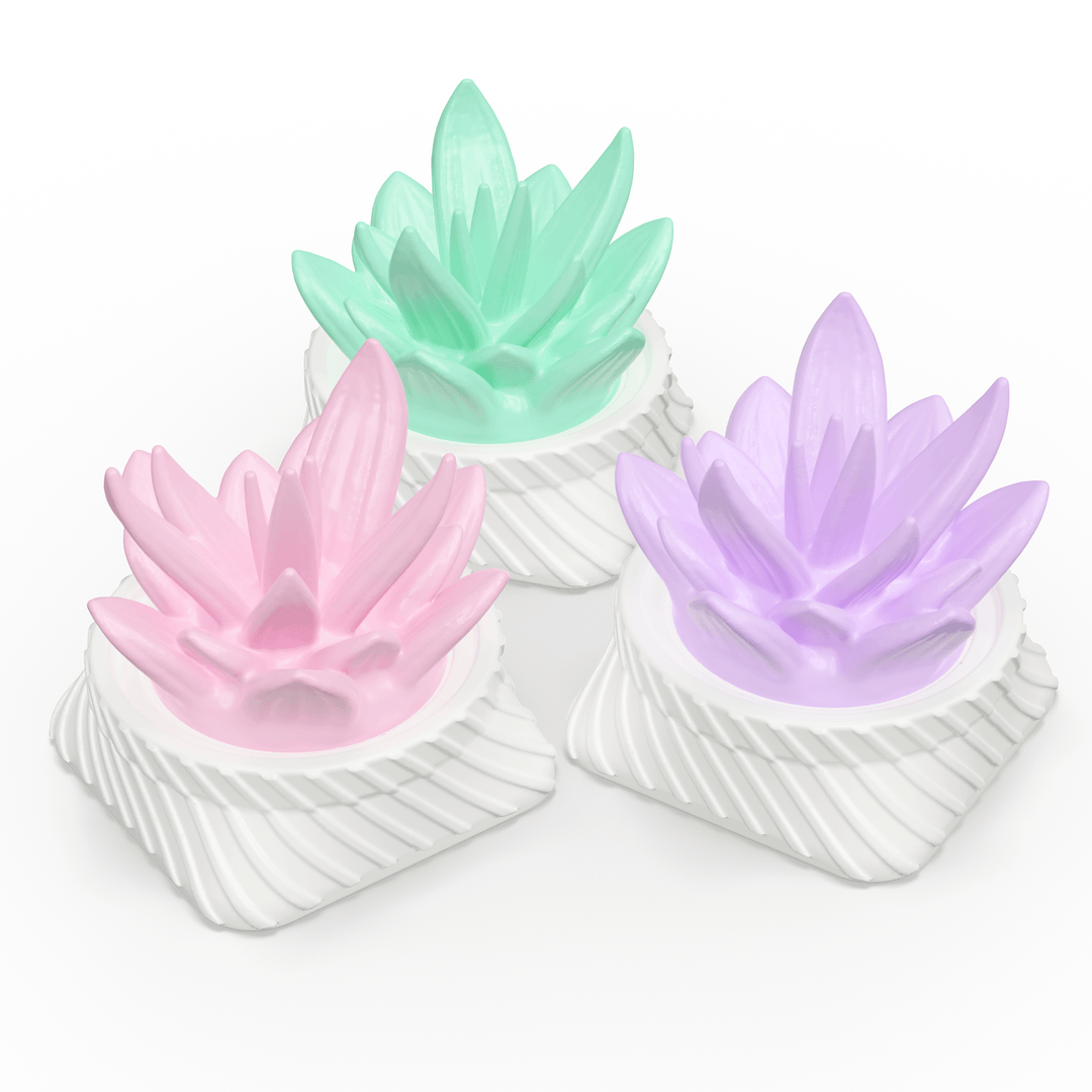 succulent keyboard Succulent Keycap Aloe / Trio Bundle